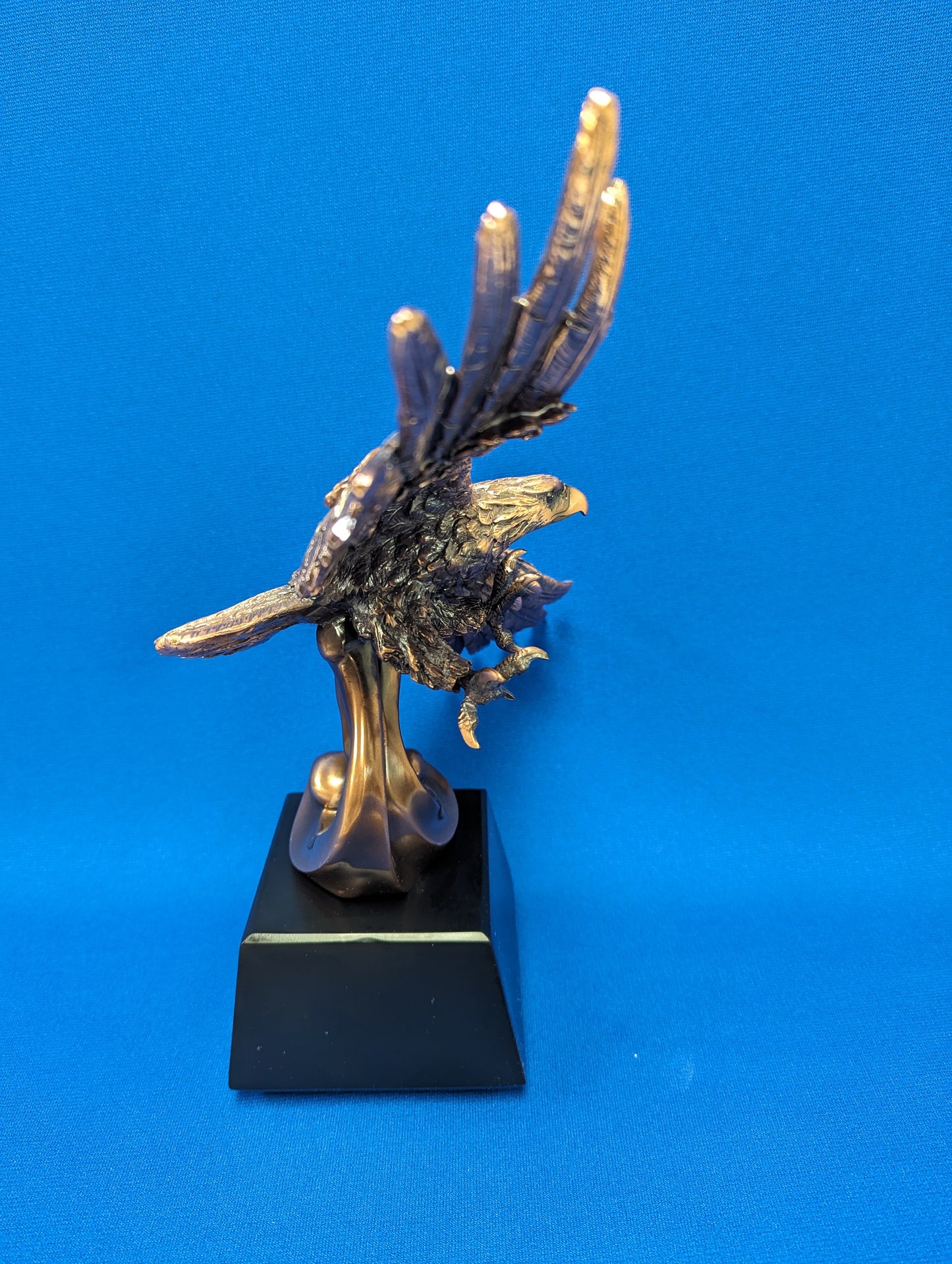 Soaring Eagle on Base