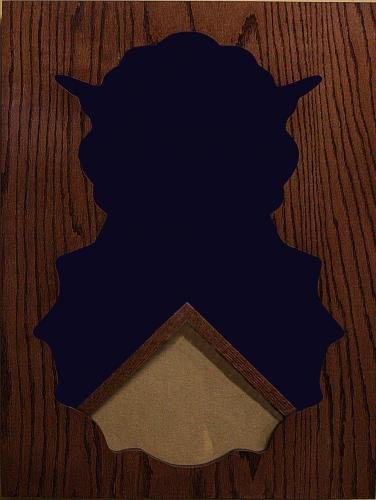 Triangle Space Force Shadow Box Specialty Shadow Boxes – MH Specialties
